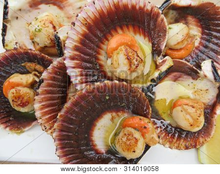 Delicious Seafood Of All Kinds Of Very Good Quality
