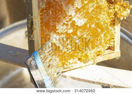 Honey Harvest - Collecting Honey From Honeycombs. Natural Honey Dripping.
