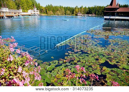 Heviz, Hungary - September 27, 2018: Balneological Therapeutic Lake Heviz In Hungary With Warm Water