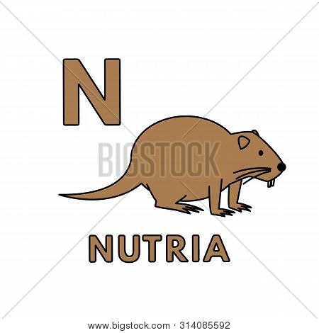 Alphabet With Cute Cartoon Animals Isolated On White Background. Flashcard For Children Education. V