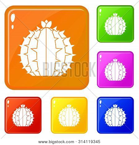 Lophophora Cactus Icons Set Collection Vector 6 Color Isolated On White Background