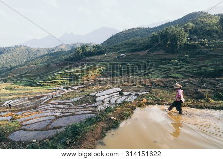 Sapa, Vietnam - May 2019: Woman From Hmong Ethnic Group In Traditional Dress Walking On The Rice Ter