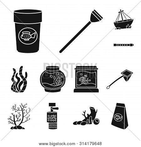Vector Design Of Decorative And Interior Symbol. Collection Of Decorative And Aqua Vector Icon For S