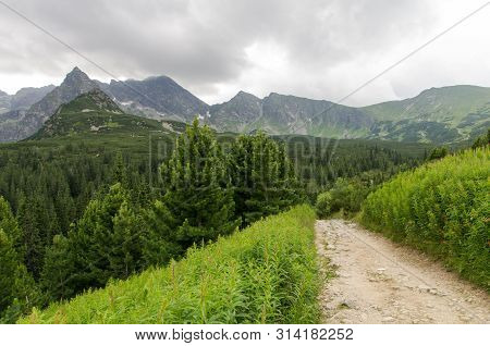 Path In Hala Gasienicowa ( Valey Gasienicowa). Tatra Mountains In Zakopane, Poland.
