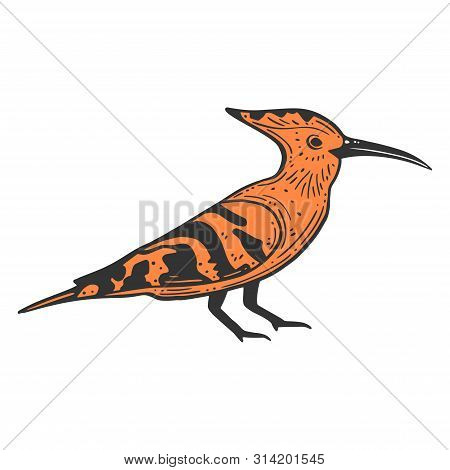 Wildbird Hoopie. Vector Concept In Doodle And Sketch Style.