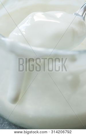 Homemade Goat Yogurt In Glass Bowl With Spoon / Probiotic Custard