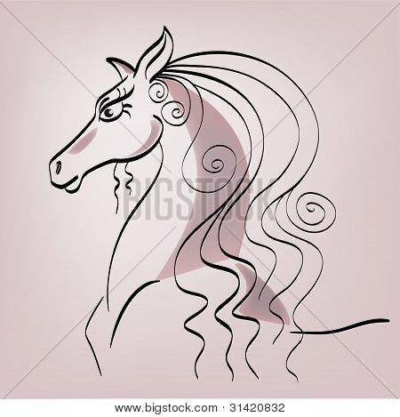 Il cavallo
