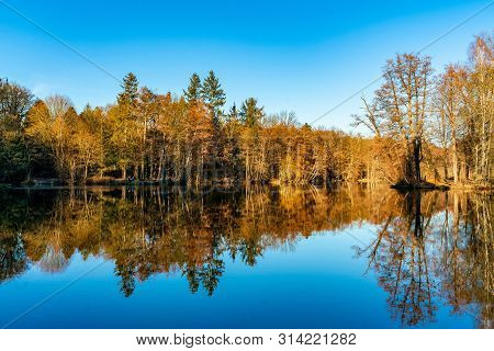 Reflections Of Trees In A Lake At Castle Dammsmühle With A Cloudless Blue Sky And Blue Water