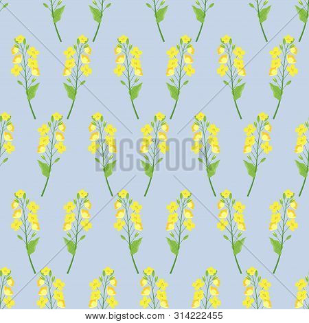 Seamless Cute Rapeseed Flower Pattern, Canola Buds, Rapeseed Inflorescences, Blue Backing, Floral Ba