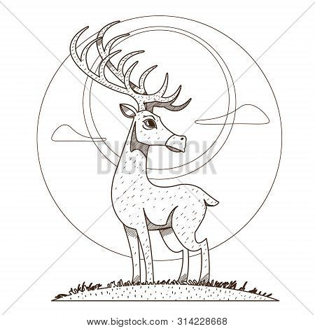 Deer. Artiodactyla Mammals. Illustrations For Gaming Applications Design For Teaching Aids.