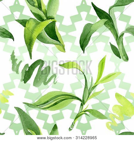 Bamboo Green Leaves. Watercolor Background Illustration Set. Seamless Background Pattern.