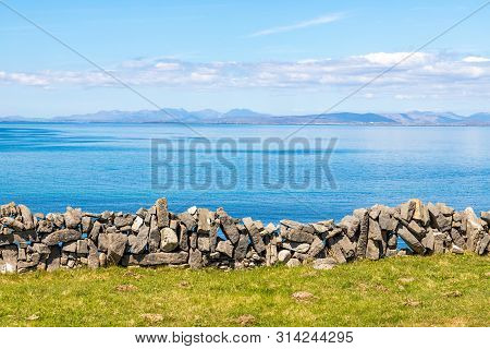 Flowered Farm Field With Rock Walls And Galway Bay In Background In Inishmore