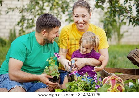Happy Family Gardening Together And Taking Care Of Nature. Plant Sprouts And Fertilize The Ground. M
