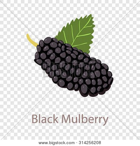 Black Mulberry Icon. Isometric Illustration Of Black Mulberry Vector Icon For Web