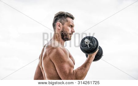 Man Sportsman Weightlifting. Steroids. Athletic Body. Dumbbell Gym. Fitness And Sport Equipment. Mus