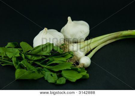 Cibule, česnek, Loveage.