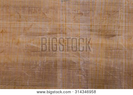 Papyrus Texture. Papyrus Closeup. Egyptian Papyrus. Pure Papyrus