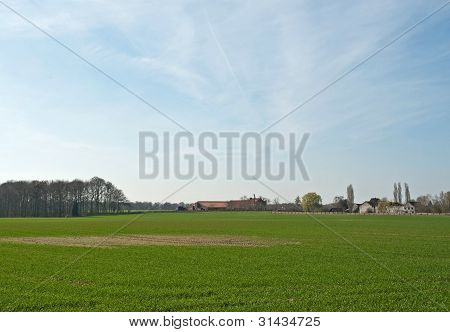 Bauernhöfe und Wiese im Frühling