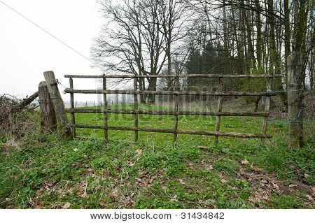 Zaun auf einer Wiese im FrÃ¼hling