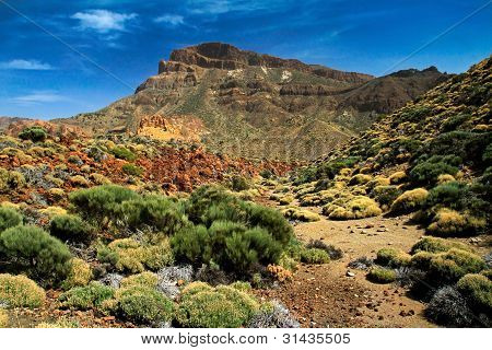 テイデ国立公園テネリフェ島