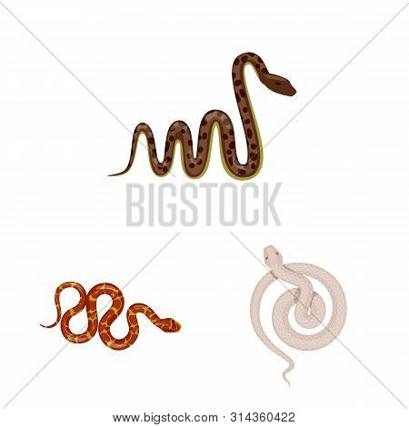 Vector Illustration Of Poison And Evil Symbol. Set Of Poison And Bite Stock Vector Illustration.