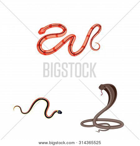 Vector Design Of Poison And Evil Sign. Collection Of Poison And Bite Stock Vector Illustration.