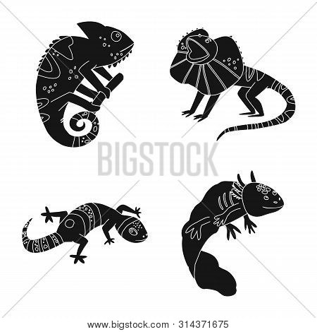 Vector Illustration Of Zoo And Environment Symbol. Collection Of Zoo And Reptile Stock Symbol For We