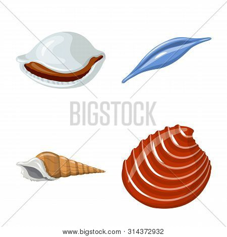 Isolated Object Of Seashell And Mollusk Sign. Collection Of Seashell And Seafood Stock Vector Illust