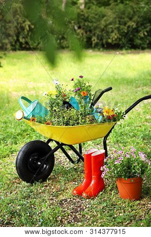 Wheelbarrow With Gardening Tools And Flowers On Grass Outside