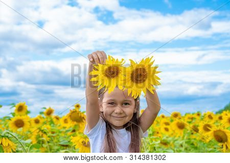 Adorable Little Girl Holding Sunflowers In The Garden. Closeup Kid Portrait, Baby With Two Sunflower