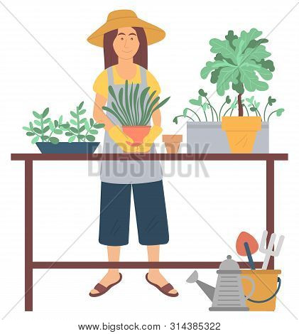 Woman Character Wearing Hat, Gloves And Apron Gardening. Female Repotting Flowers, Plant On Table, S