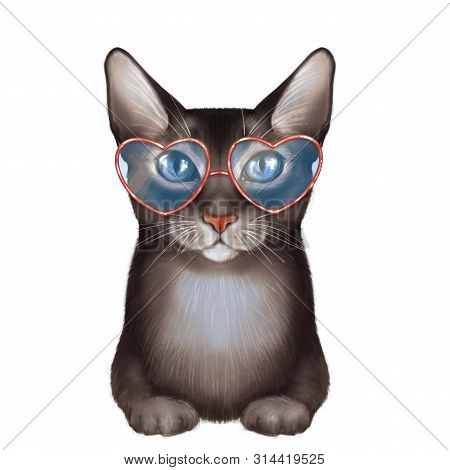 Black Cat, Isolated On White. Cute Anomal Illustration