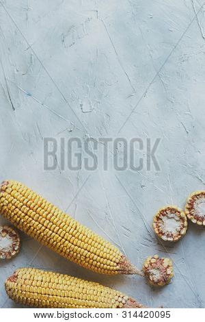 Shucked And Cleaned Sweet Corns On Bright Blue Background. Sweet Corns On The Desk. Sweet Corns Imag