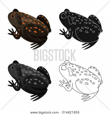 Vector Design Of Toad And Tropical Logo. Set Of Toad And Ecology Stock Vector Illustration.