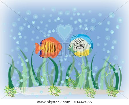 Fische Liebe