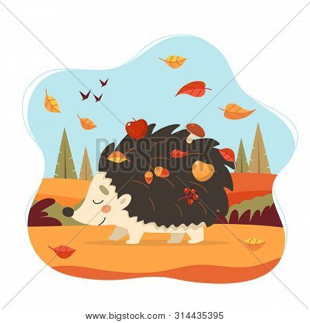 Cute Hedgehog With Autumn Forest Background. Hedgehog With Apples, Mushrooms And Leaves. Seasonal Ve