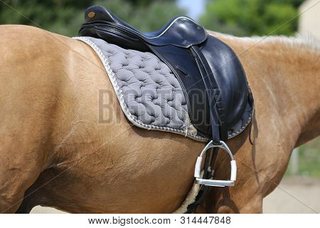 Beautiful Handmade Dressage Horse Riding Saddle With Girth, Stirrup On Saddle Pad On The Racetrack