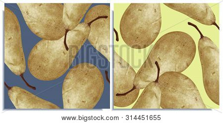 Vector Set Of Seamless Patterns With Hand-drawn Harvest Juicy, Delicious Rich Soft Pears Conference,