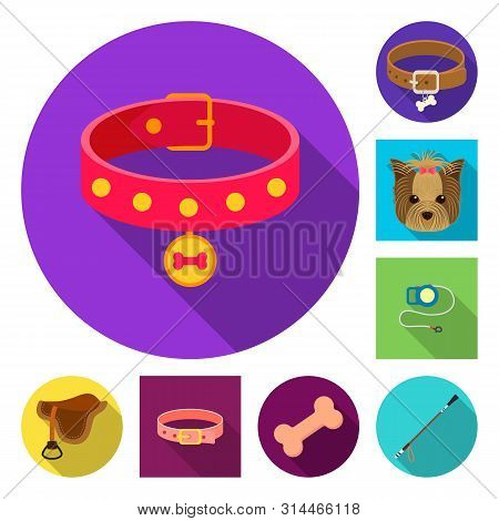 Bitmap Design Of Pet And Accessories Logo. Set Of Pet And Shop Stock Symbol For Web.
