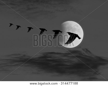 Meditation In The Clouds With The Moonlight