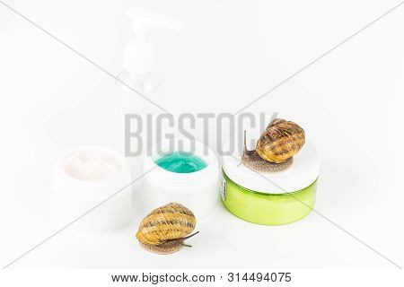 Cosmetics Organic Made With Slaver Of Snail, Very Good For Skin And Health And Fashion In Europe. Po