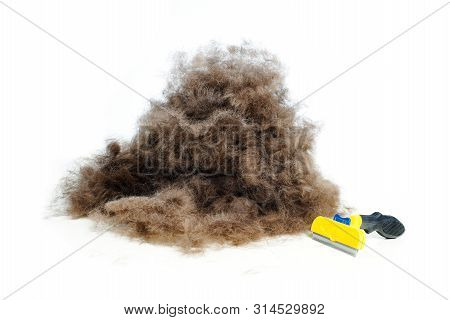A Lot Of Dog Wool, Spring Pet Moulting Concept. Isolated On White.
