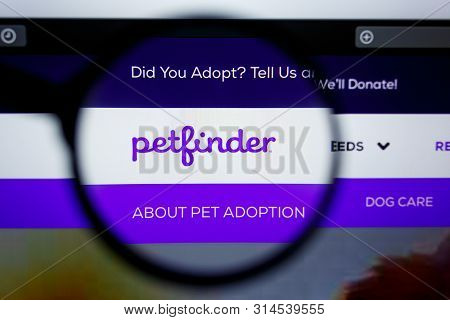 Los Angeles, California, Usa - 29 Jule 2019: Illustrative Editorial Of Petfinder.com Website Homepag