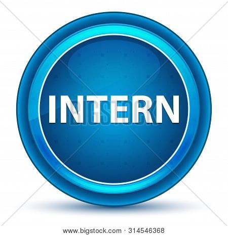Intern Isolated On Eyeball Blue Round Button
