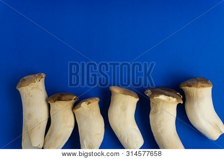 King Oyster Mushroom Pleurotus Eryngii On Blue Background,pleurotus Eryngii (king Oyster Mushroom) I