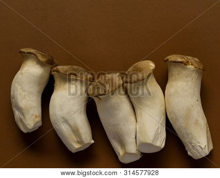 King Oyster Mushroom Pleurotus Eryngii On Brown Background,pleurotus Eryngii (king Oyster Mushroom)