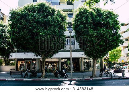 Tel Aviv Israel July 29, 2019 View Of Unknowns Israeli People Walking On Dizengoff Street At Tel Avi