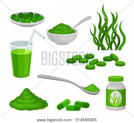 Set Of Algae Products. Vector Illustration On White Background.