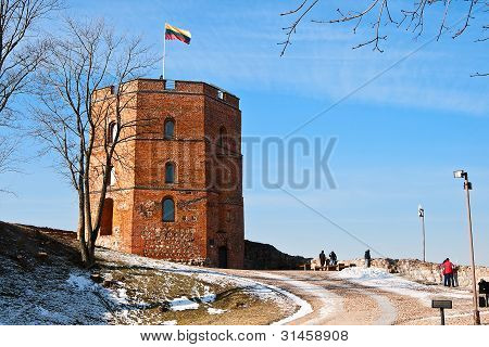 Věže Gediminas v Vilnius