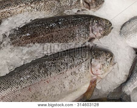 Fresh Fish On Ice Rainbow Trout At Seefood Festival